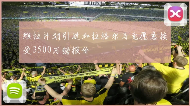 维拉计划引进加拉格尔马竞愿意接受3500万镑报价
